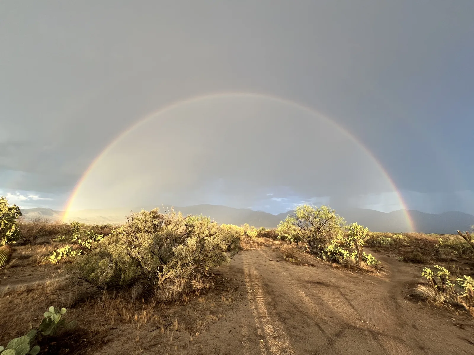 As I like to say, the desert is underrated!