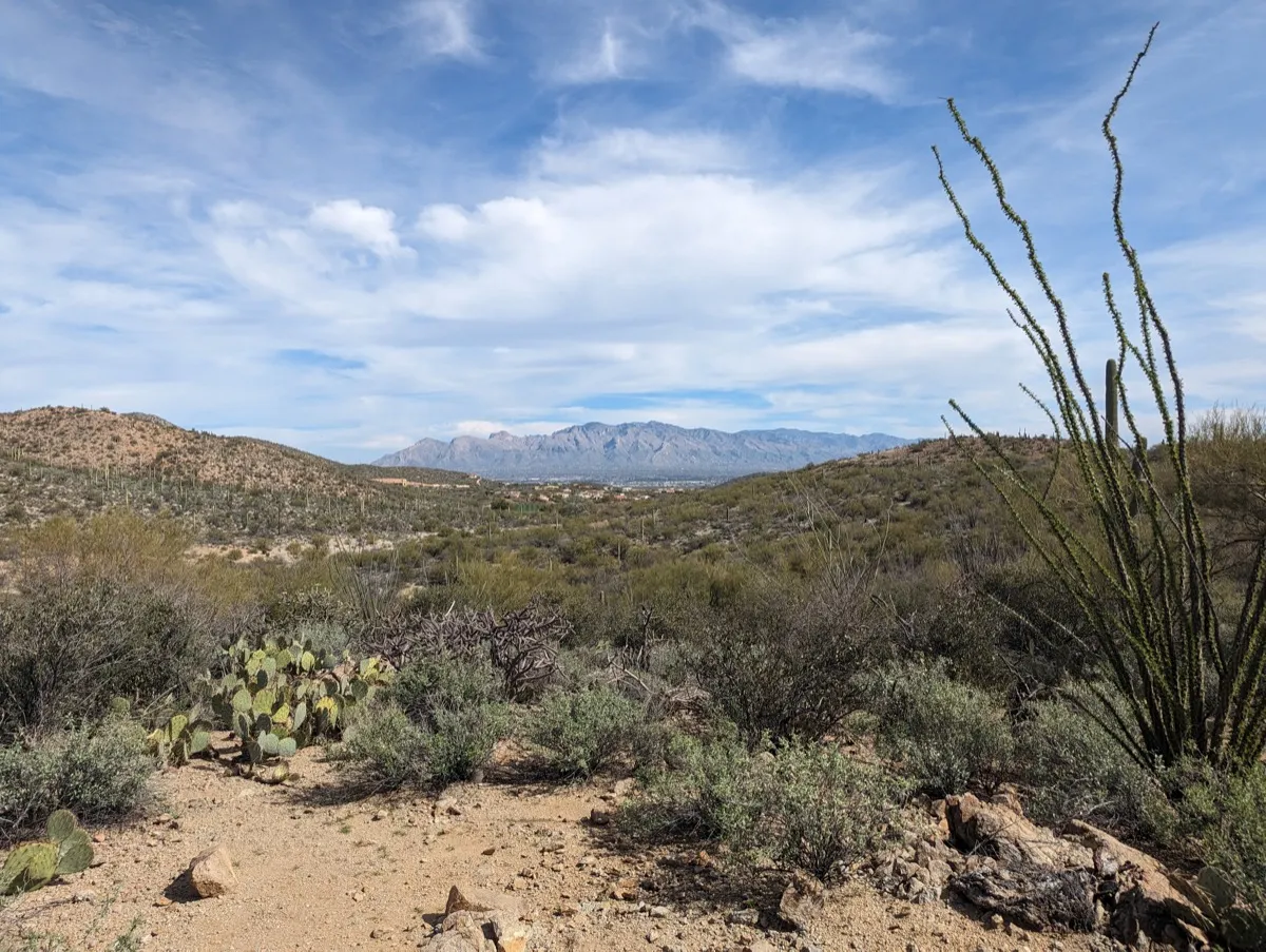 The southwestern desert is underrated. After having spent some time in the big city and its perception of the outside world, I feel it is important to say that the desert is not barren but is teeming with life and so very beautiful.